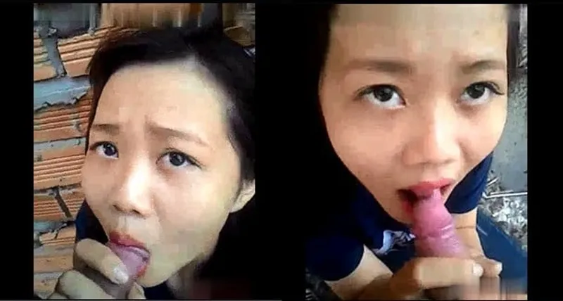 Gấu mút của quý ở vườn sau nhà